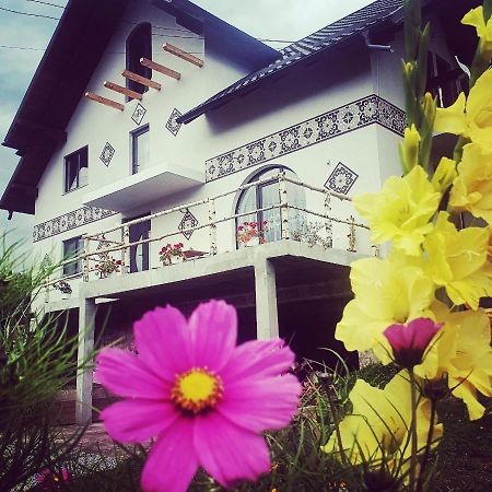Villa Casa Aureliana Ciocanesti Esterno foto