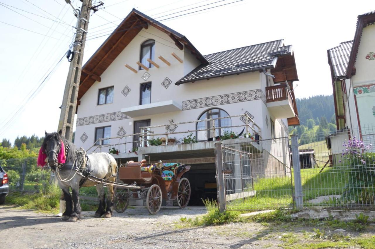 Villa Casa Aureliana Ciocanesti Esterno foto
