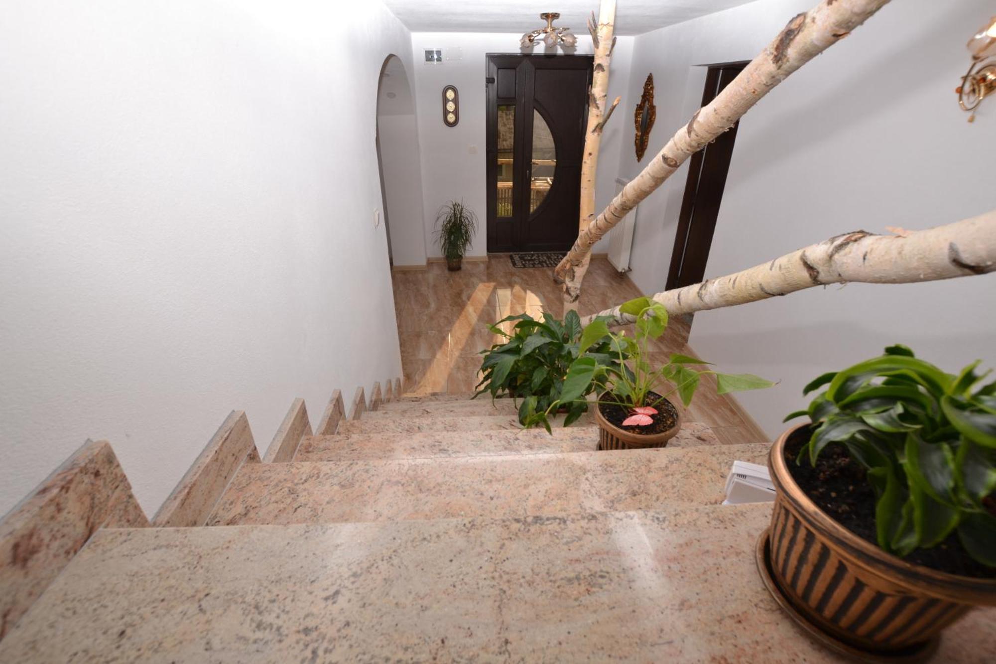 Villa Casa Aureliana Ciocanesti Esterno foto